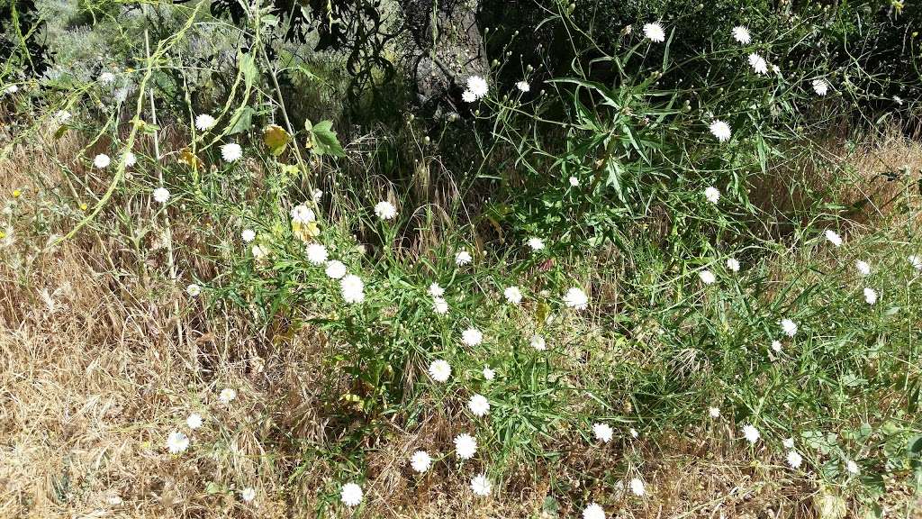 Long Canyon Trail | Simi Valley, CA 93065, USA