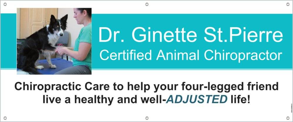 Dr. Ginette, Certified Animal Chiropractor | 1350 Provincial Rd, Windsor, ON N8W 5W1, Canada | Phone: (519) 966-7880