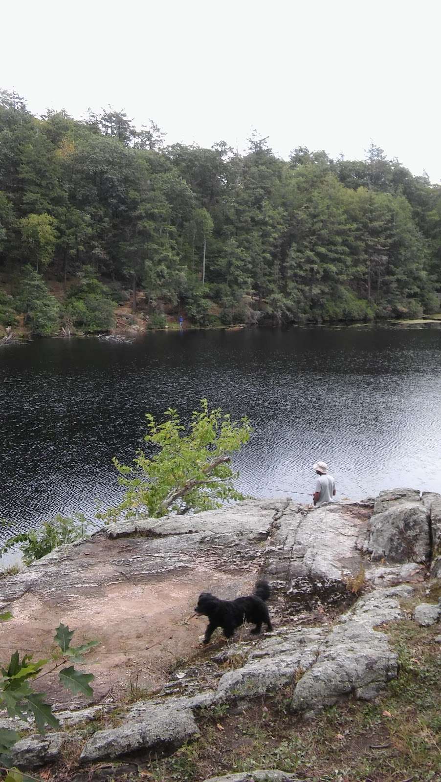 Pendleton Pond | Carmel Hamlet, NY 10512, USA