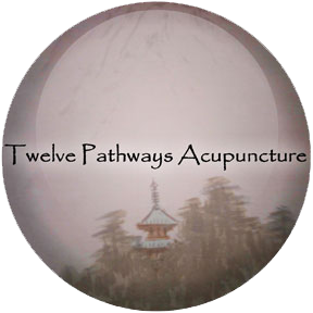 Twelve Pathways Acupuncture | 2009 Warrenville Rd c, Lisle, IL 60532, USA | Phone: (630) 442-2654