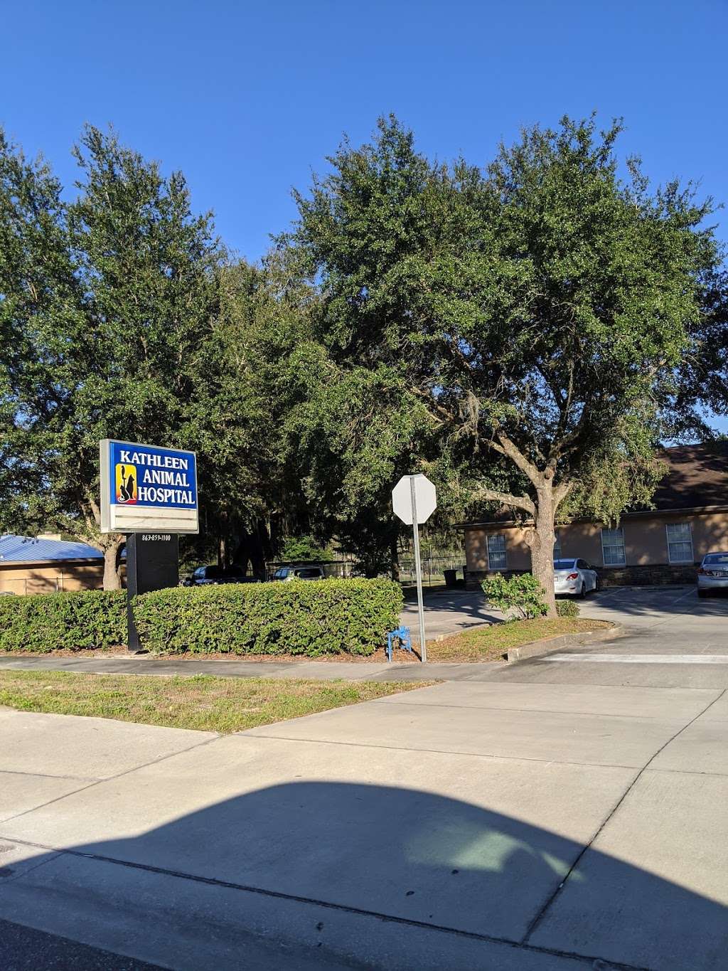 Kathleen Animal Hospital | 6315 Kathleen Rd, Lakeland, FL 33810, USA | Phone: (863) 859-1100