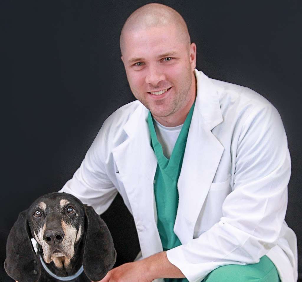 Choice Veterinary Specialists | 945 W 124th Ave, Westminster, CO 80234, USA | Phone: (303) 424-6423