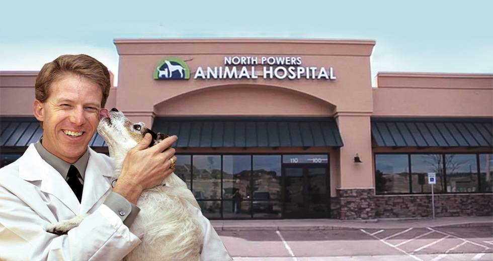 North Powers Animal Hospital | 5495 Powers Center Point, Colorado Springs, CO 80920 | Phone: (719) 282-1222