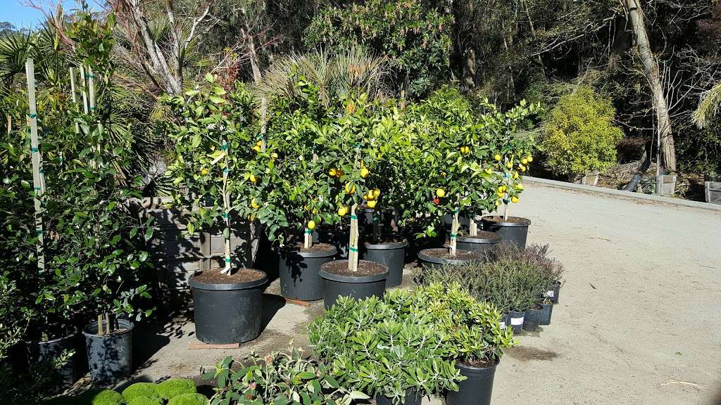 Bongards Treescape Nursery | 12460 San Mateo Rd, Half Moon Bay, CA 94019, USA | Phone: (650) 726-4568