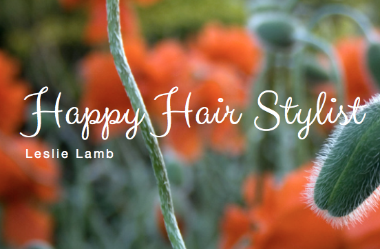 Happy Hair Stylist - Leslie Lamb | 5643 Centennial Center Blvd, Las Vegas, NV 89149, USA | Phone: (702) 204-0458