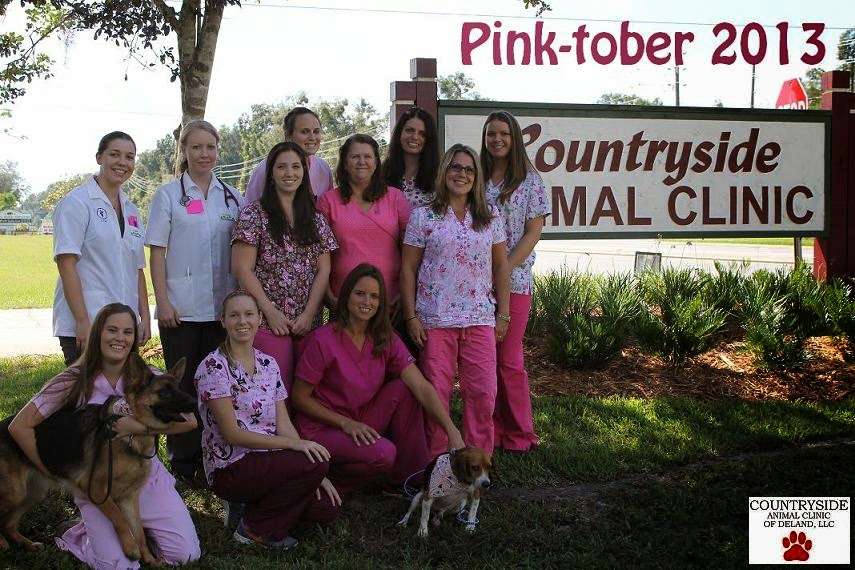 Countryside Animal Clinic | 1727 N Spring Garden Ave, DeLand, FL 32720 | Phone: (386) 736-9300