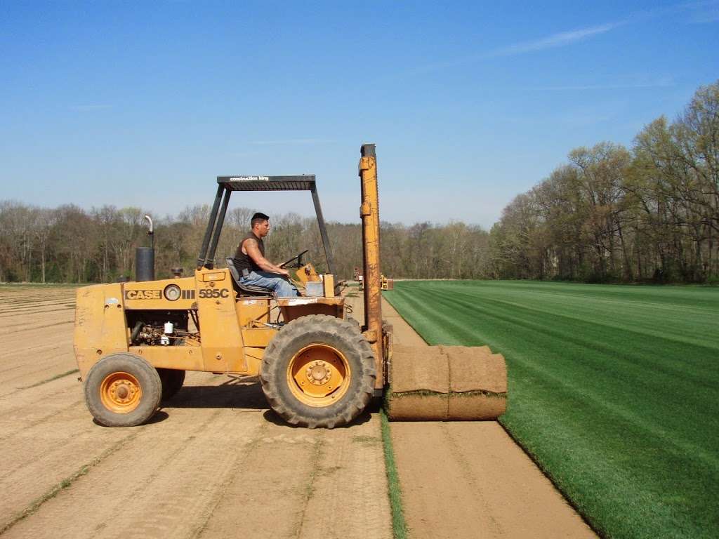 Superior Turf & Landscape Inc | 1735 Swamp Rd, Furlong, PA 18925 | Phone: (215) 794-8700