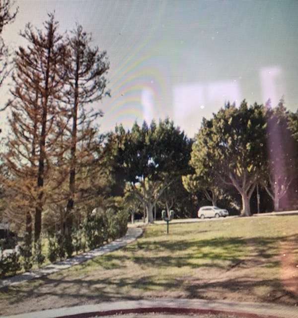 Al Silvera Memorial Park | 725 Sierra Dr, Beverly Hills, CA 90210, USA