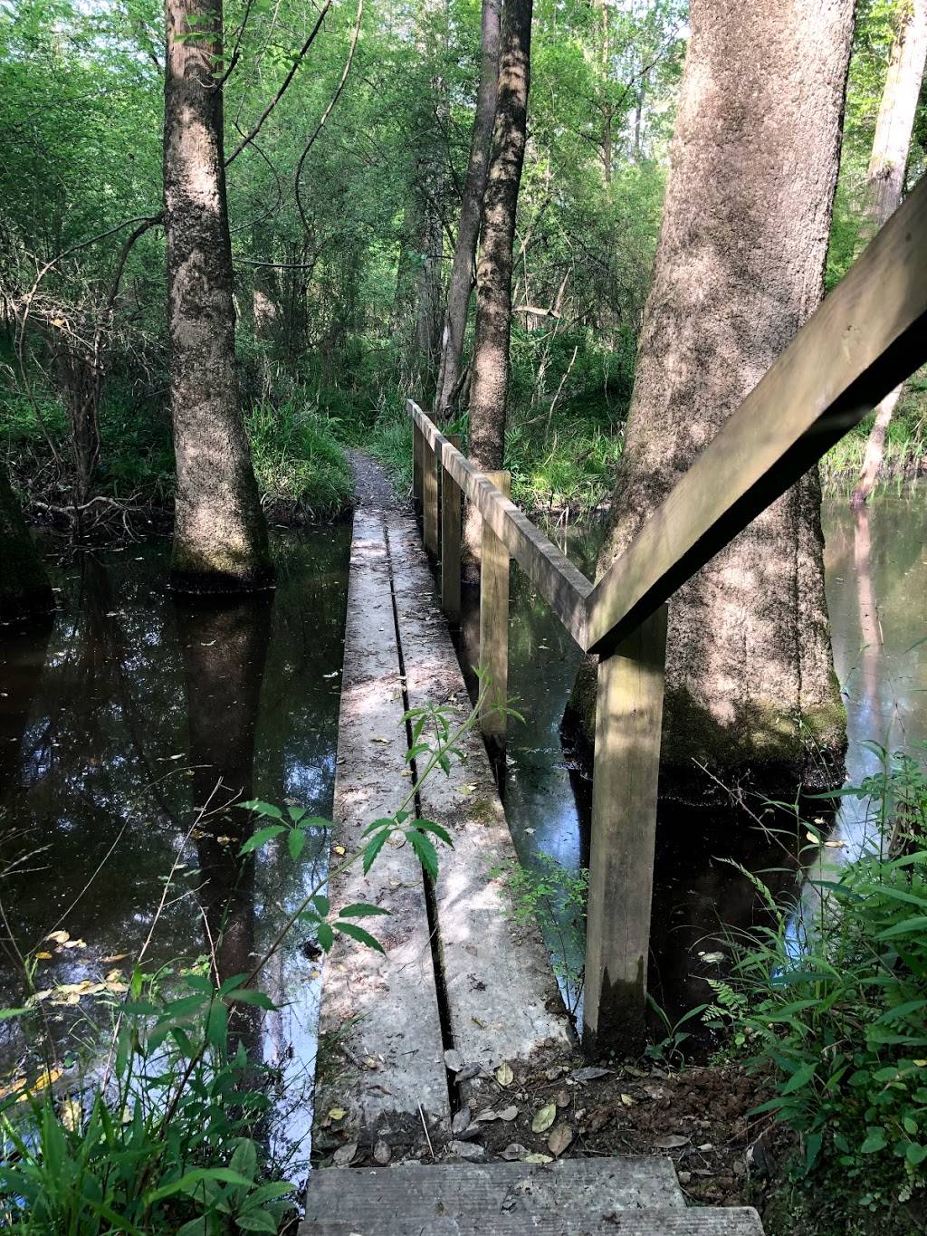 Frenchtown Rd Conservation Area | 17819 Frenchtown Rd, Central, LA 70739, USA | Phone: (225) 272-9200 Frenchtown Rd Conservation Area | 17819 Frenchtown Rd, Central, LA 70739, USA | Phone: (225) 272-9200
