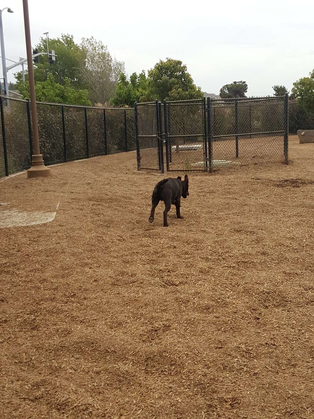 Alga Norte Community Park | 6565 Alicante Rd, Carlsbad, CA 92009, USA | Phone: (760) 268-4777