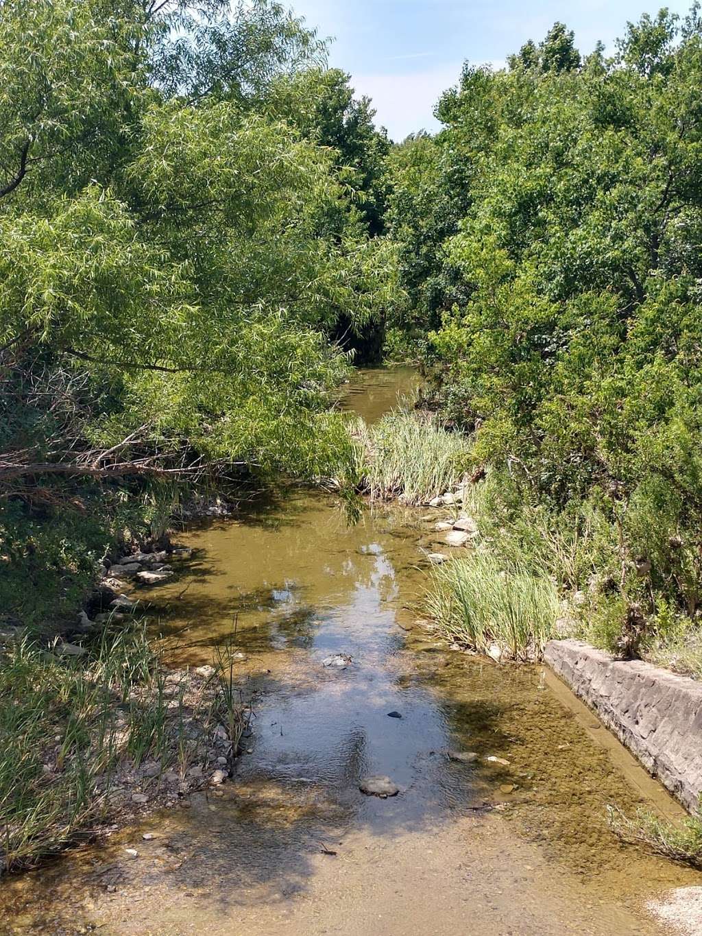 Tree Line Park | 1854-1886 Tree Line Dr, Carrollton, TX 75007, USA