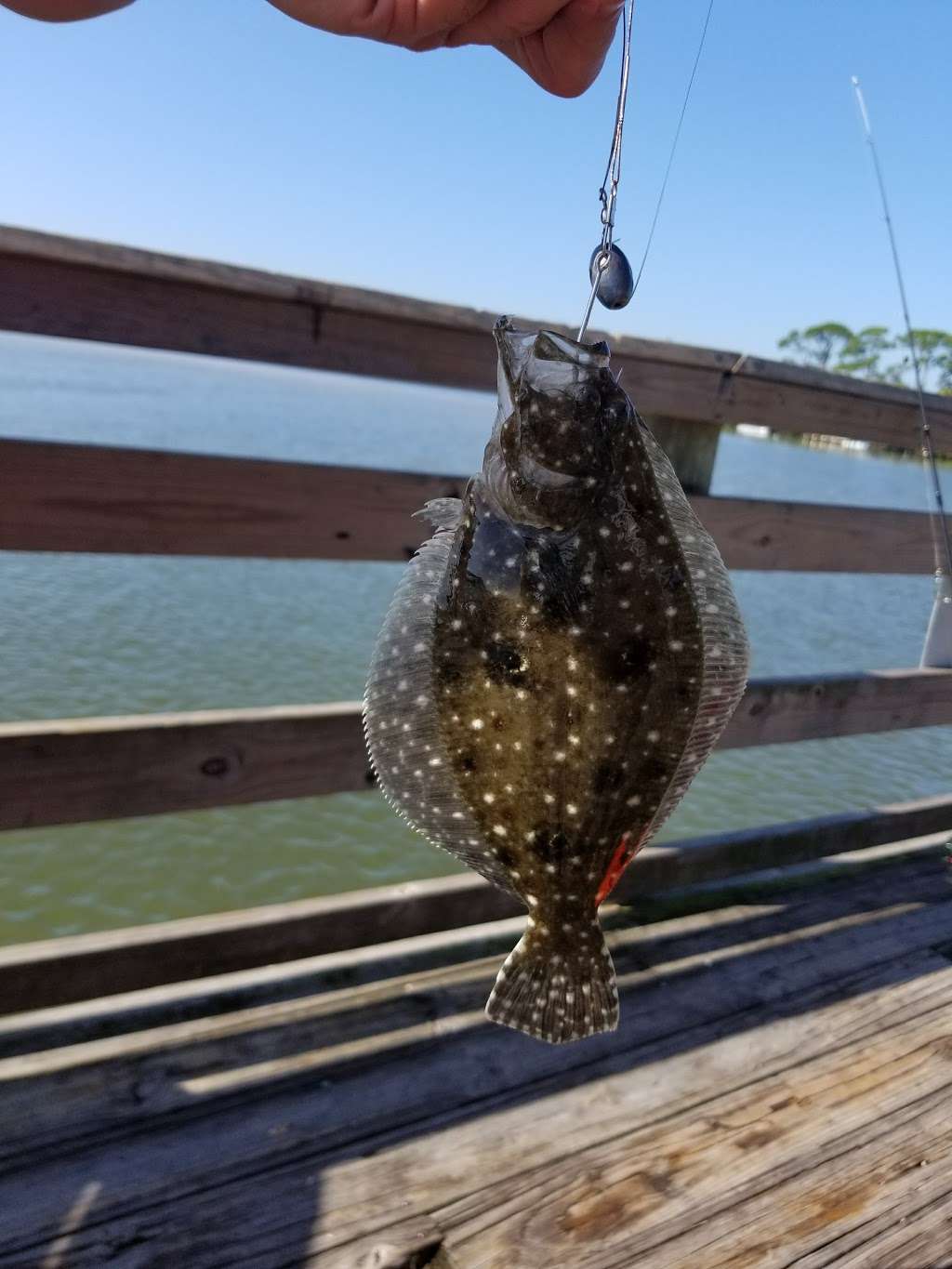 George R. Kennedy Memorial Park | 103 N Riverside Dr, Edgewater, FL 32132, USA | Phone: (386) 424-2485 George R. Kennedy Memorial Park | 103 N Riverside Dr, Edgewater, FL 32132, USA | Phone: (386) 424-2485