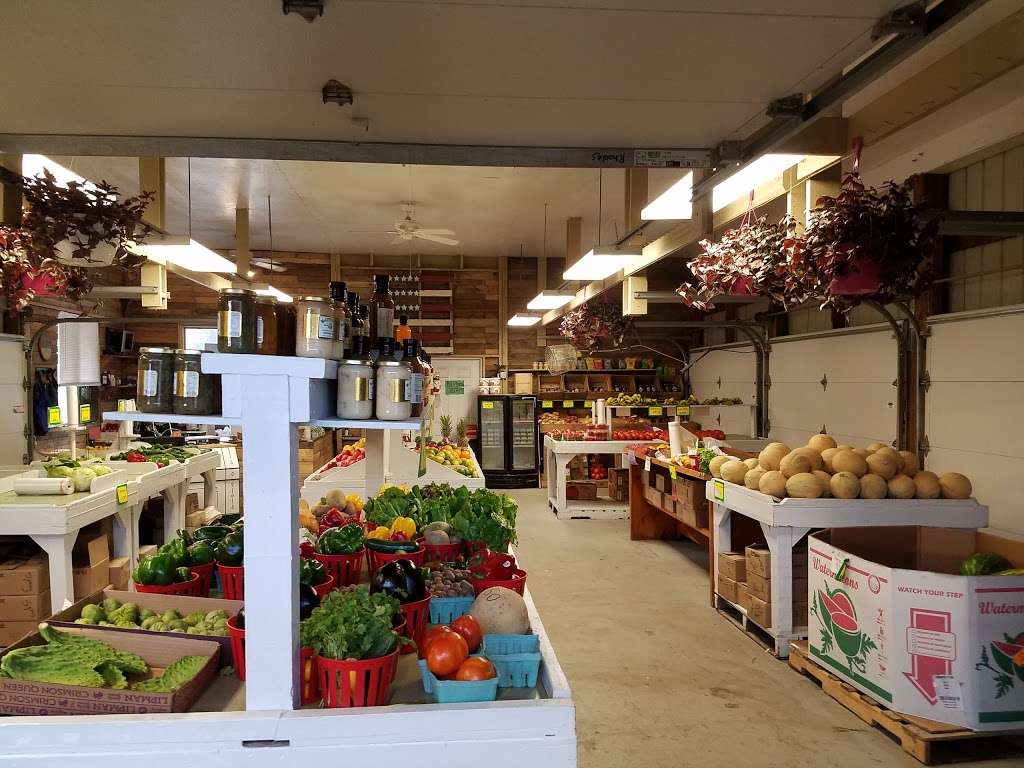 Franks Produce & Greenhouse | 6686 Old Waterloo Rd, Elkridge, MD 21075, USA | Phone: (410) 799-4566