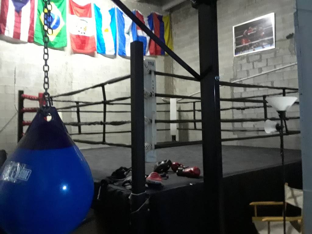 Boxing Champions Future Gym | 7543 NW 70th St, Miami, FL 33166, USA | Phone: (786) 389-7900