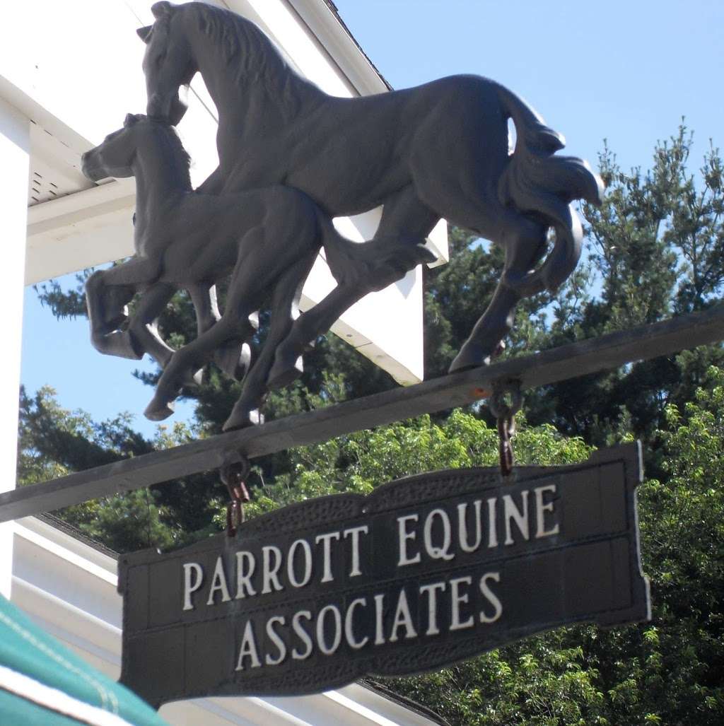 Parrott Equine Associates | 1 Winthrop St, South Hamilton, MA 01982, USA | Phone: (978) 468-6307