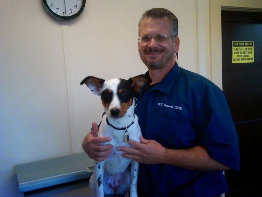 Iron Hills Animal Hospital | 21 State Route 10 E, Succasunna, NJ 07876, USA | Phone: (973) 584-5167