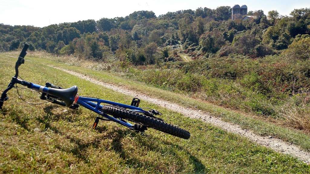 laurel hill mountain bike trails