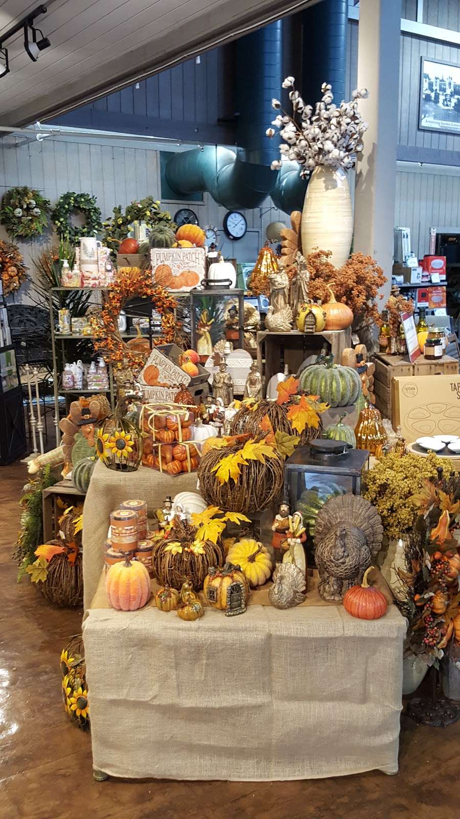 Armstrong Garden Centers | 32382 Del Obispo St, #D, San Juan Capistrano, CA 92675 | Phone: (949) 661-6666