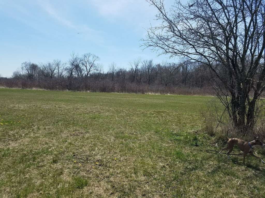 Paintbrush Prairie Nature Preserve | Markham, IL 60428