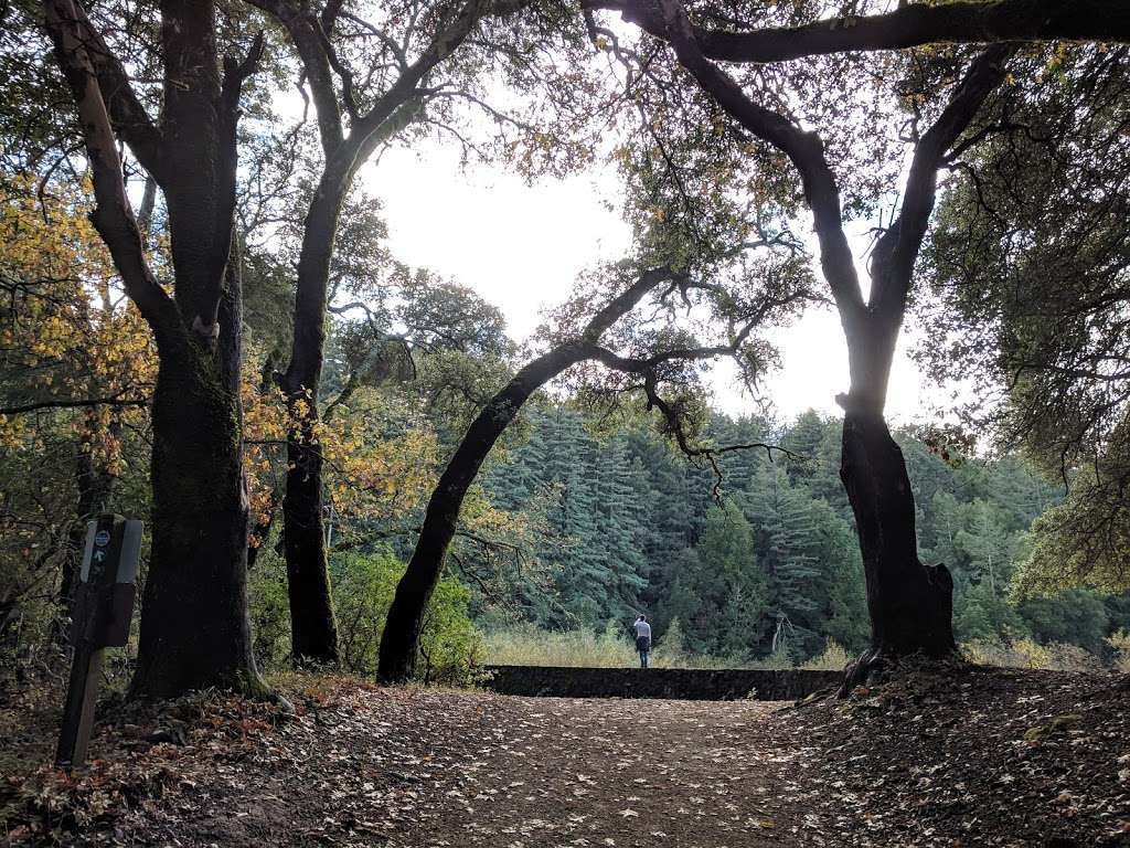 Upper Lake Trail Jack London Park | Lake Service Rd, Glen Ellen, CA 95442, USA