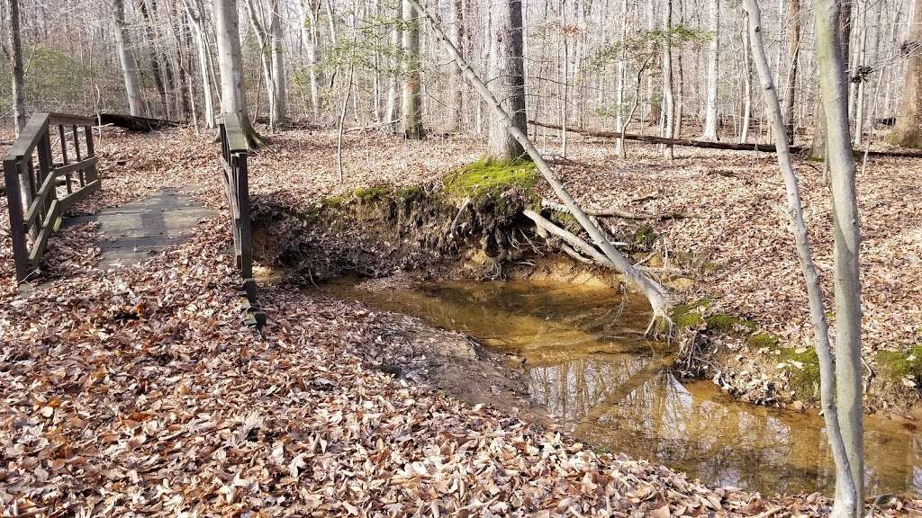 Forest Trail | Forest Trail, Laurel, MD 20724, USA