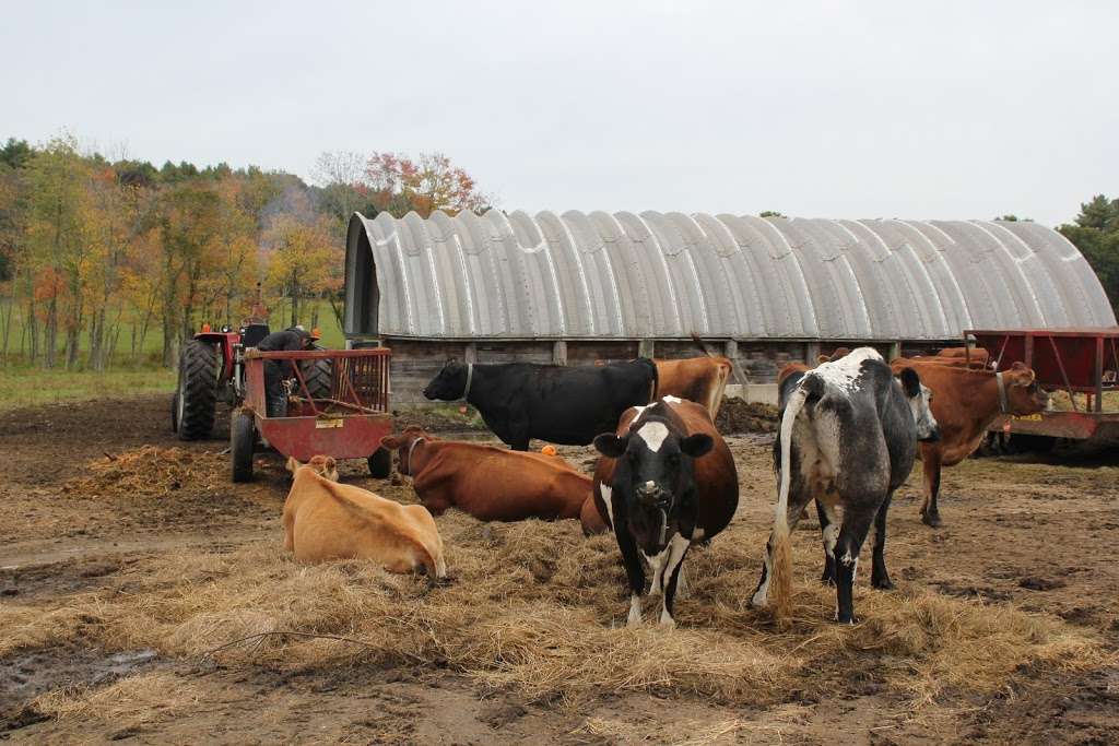 Eastleigh Farm | 1062 Edmands Rd, Framingham, MA 01701, USA