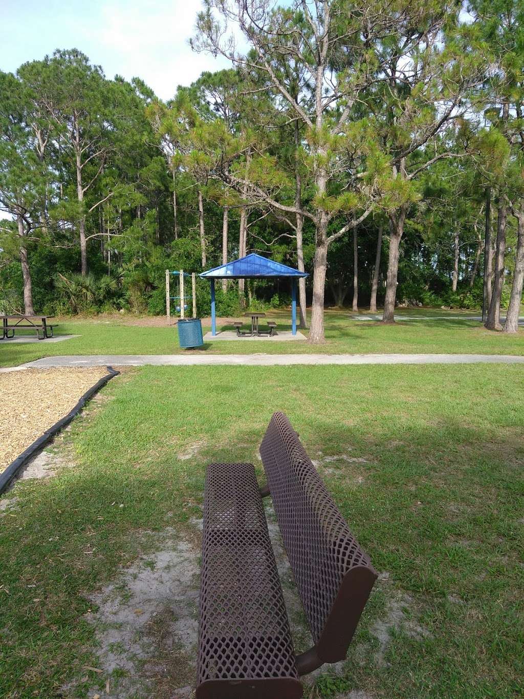 Willow Run Park | 100 Schoolhouse Dr, Port Orange, FL 32129, USA | Phone: (386) 506-5851