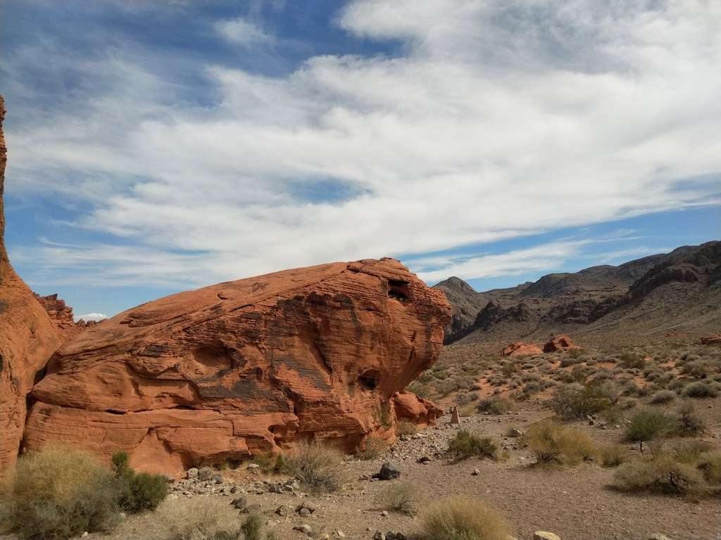 Beehives | Valley of Fire Hwy, Overton, NV 89040