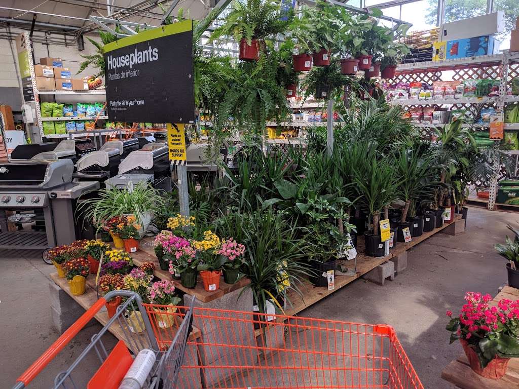 Garden Center at The Home Depot | 2650 W Thunderbird Rd, Phoenix, AZ 85023, USA | Phone: (602) 548-9600