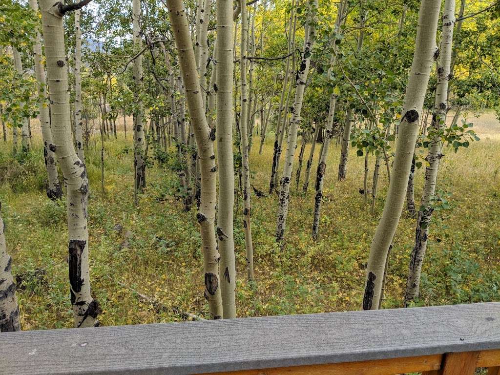 Aspen Mountain Cabin | 205 Ironclad View Rd, Allenspark, CO 80510, USA | Phone: (419) 346-6465