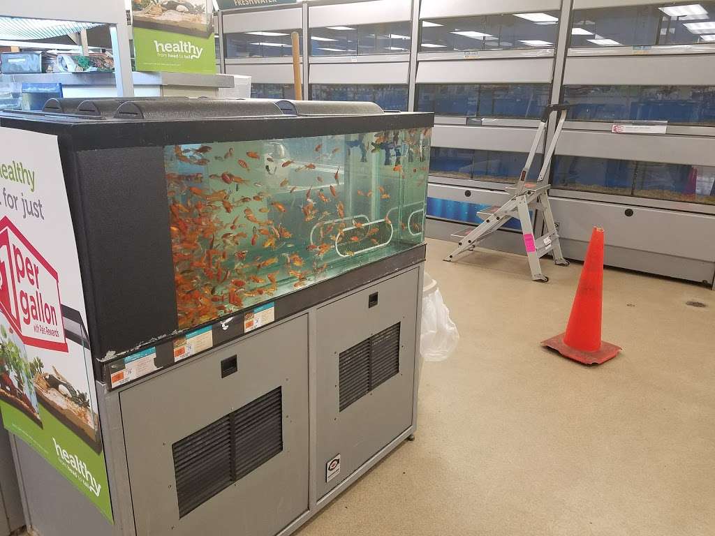 Petco | 239 Newburyport Turnpike, Topsfield, MA 01983, USA | Phone: (978) 887-7387