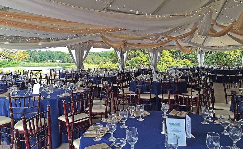 Dream Weddings & Events by Illumination Designs | 1500 Tremont St #11, Duxbury, MA 02332, USA | Phone: (508) 233-7326