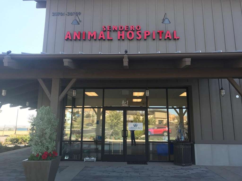 Sendero Animal Hospital | 30703 Gateway Pl, Ladera Ranch, CA 92694 | Phone: (949) 226-5597