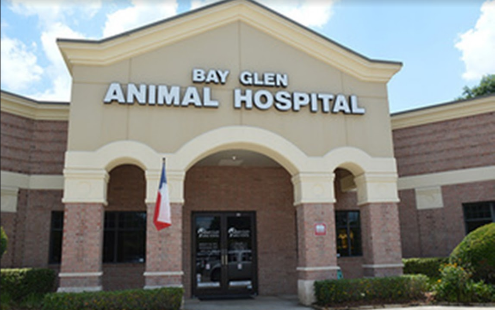 Bay Glen Animal Hospital | 1616 Clear Lake City Blvd #105, Houston, TX 77062, USA | Phone: (281) 410-2611