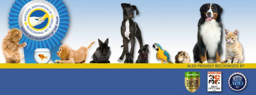 Beckys Pet Care Inc | 7200 Fullerton Rd Ste B-200, Springfield, VA 22150, USA | Phone: (703) 822-0933