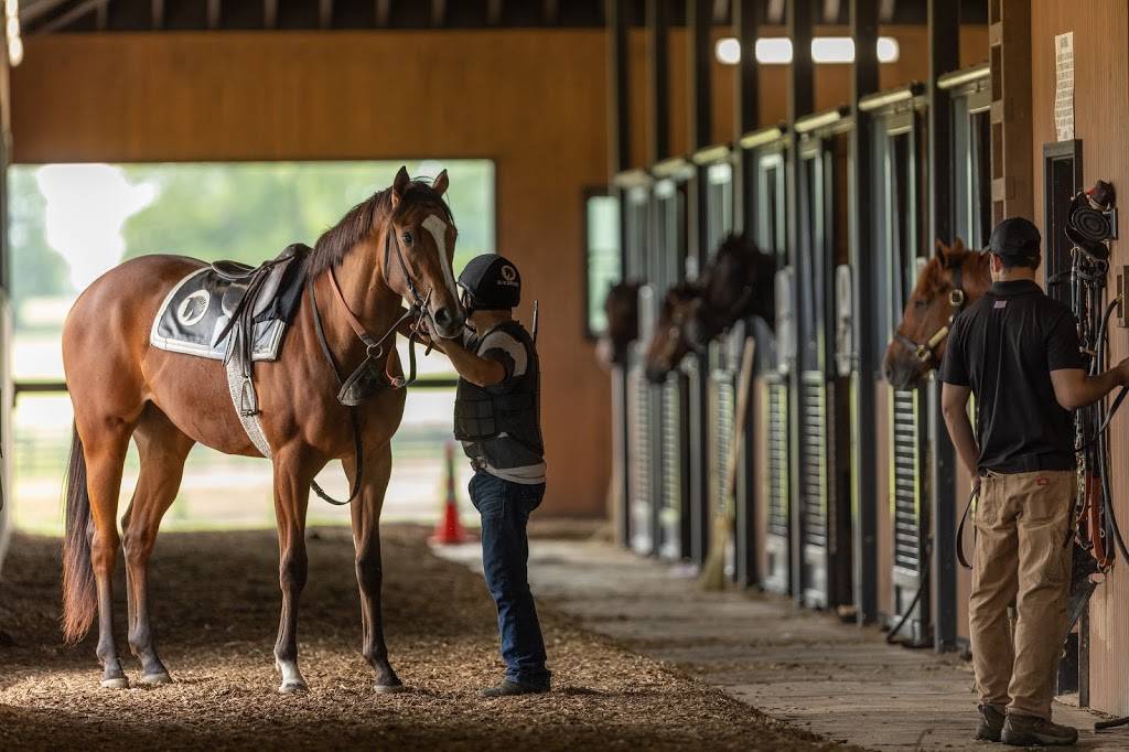 Blackwood Stables | 1217 Hedden Rd, Versailles, KY 40383 | Phone: (859) 256-0083