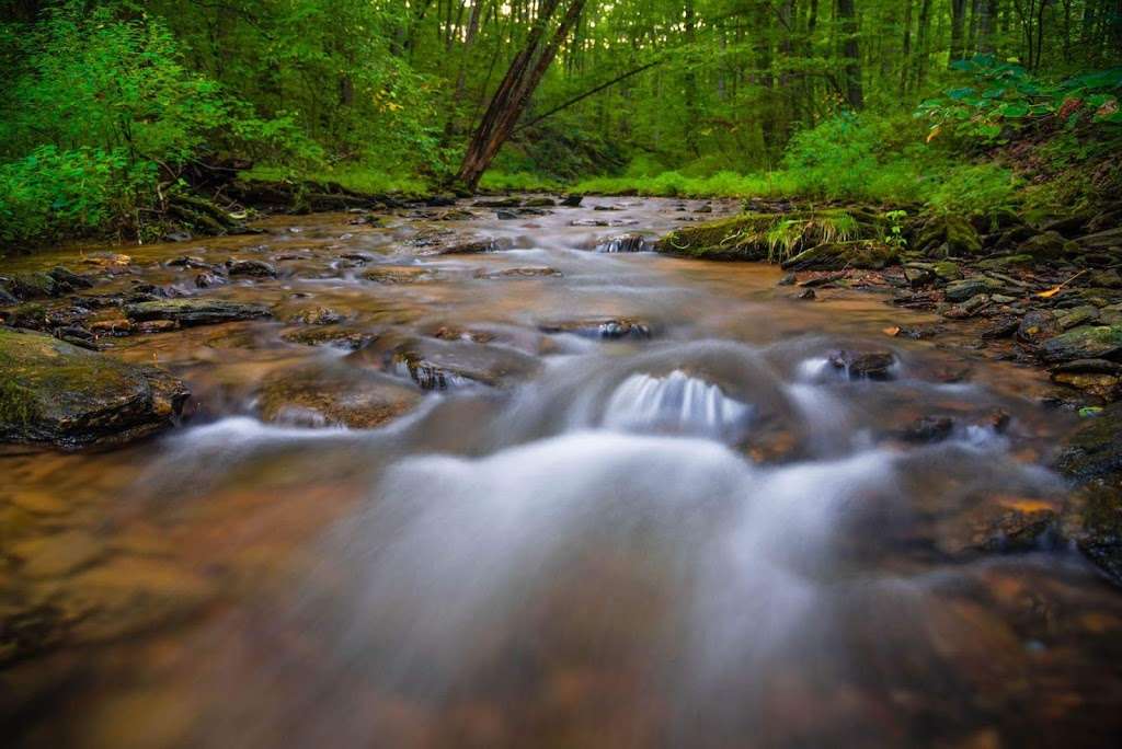 Fishing Creek Scalpy Hollow Nature Preserve | Scalpy Hollow Rd, Holtwood, PA 17532, USA | Phone: (717) 392-7891