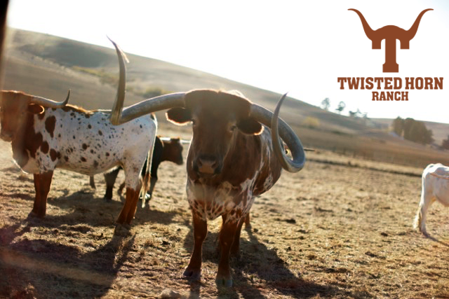 Twisted Horn Ranch | 11399 Valley Ford Rd, Petaluma, CA 94952, USA | Phone: (707) 664-8650