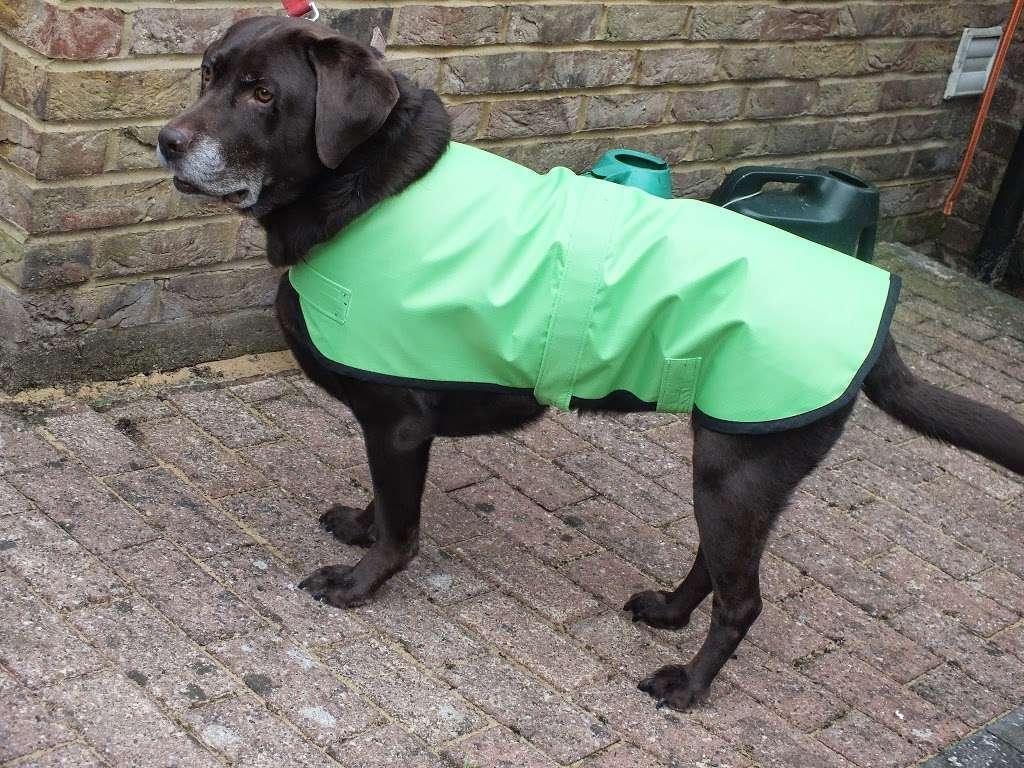 Maddies Dog Coats made to measure | 6 The Firle, Langdon Hills, Basildon SS16 6NB, UK | Phone: 07951 689841