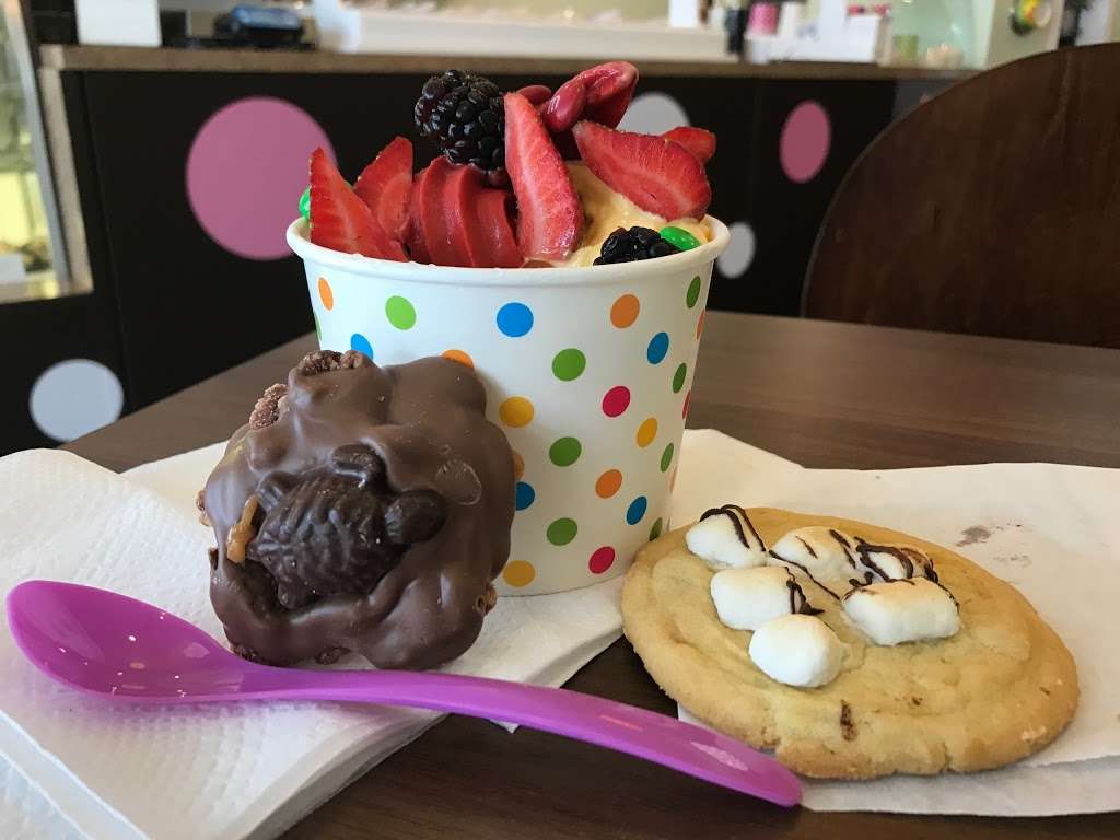 Frozen Yogurt | 7039 FM 1464, Richmond, TX 77407 | Phone: (713) 299-1100