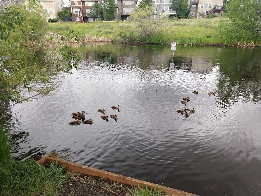 The Duck Pond | Unnamed Road, Highlands Ranch, CO 80130, USA