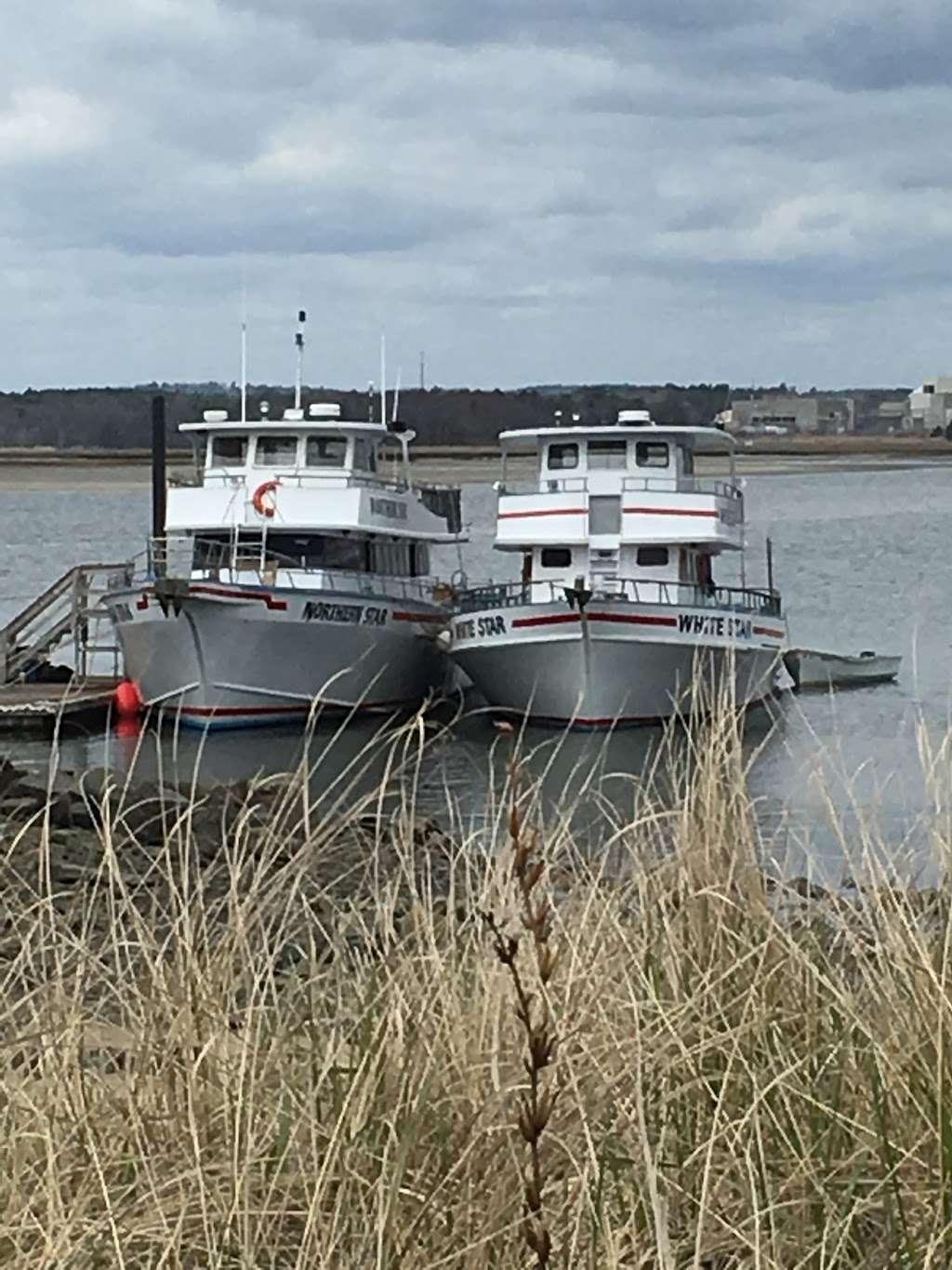 Al Gauron Deep Sea Fishing and Whale Watching | 1 Ocean Blvd, Hampton, NH 03842, USA | Phone: (603) 926-2469