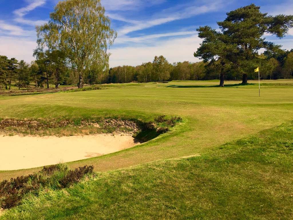 Peaford Simon | Walton Heath Golf Club/Deans La, Walton on the Hill, Tadworth KT20 7TP, UK | Phone: 01737 812152