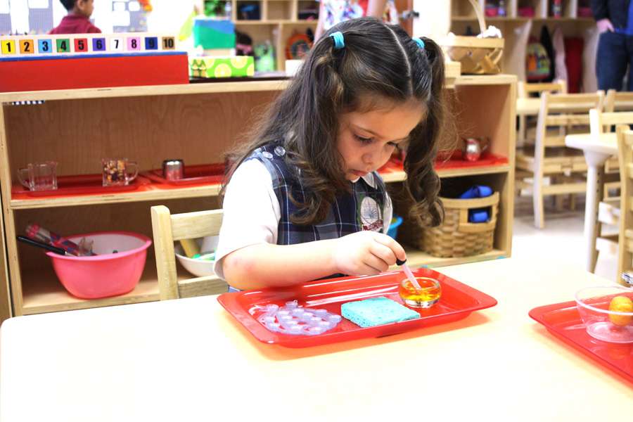 Sugar Creek Montessori School | 615 Dulles Ave, Sugar Land, TX 77478, USA | Phone: (281) 261-1000