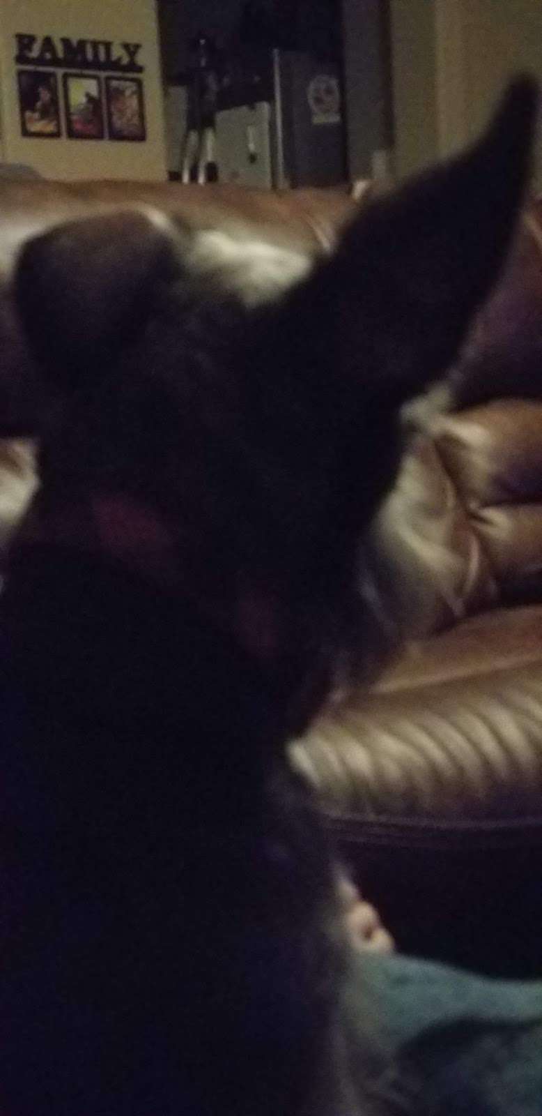 Acapulco Barber Shop | 4707 Pecan Valley Dr, San Antonio, TX 78223, USA