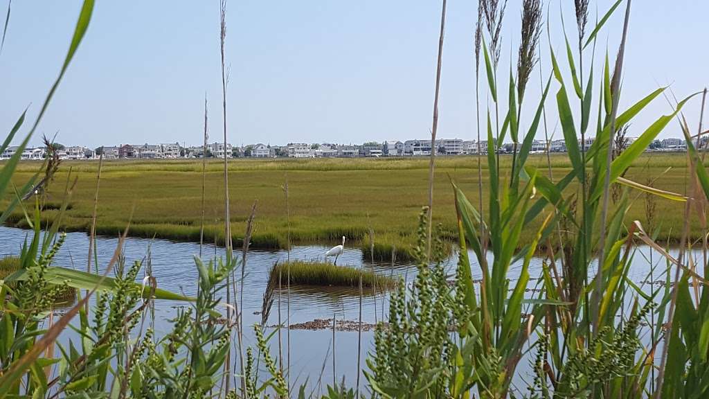 Stone Harbor Marina Inc | 1140 Stone Harbor Blvd, Stone Harbor, NJ 08247, USA | Phone: (609) 368-1141