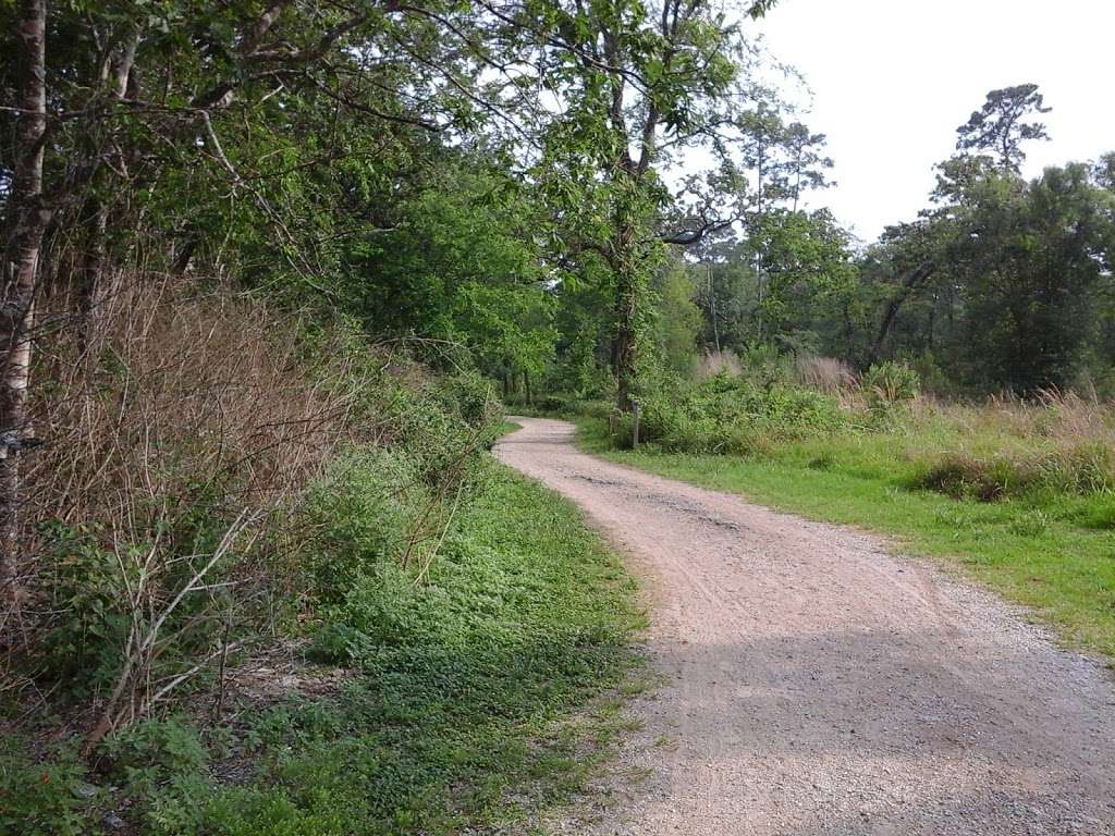 Trail Head Memorial Park | Purple Trail (Easy), Houston, TX 77007, USA