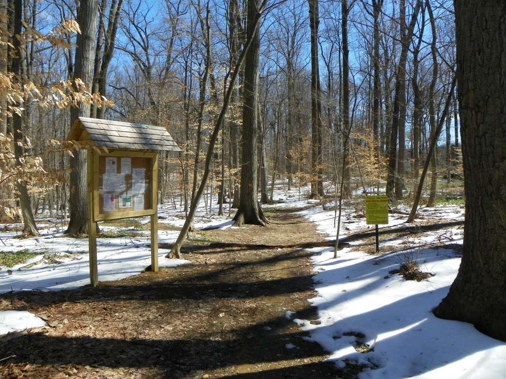 Airdrie Forest Preserve East | Fennerton Rd, Paoli, PA 19301, USA | Phone: (610) 647-5380