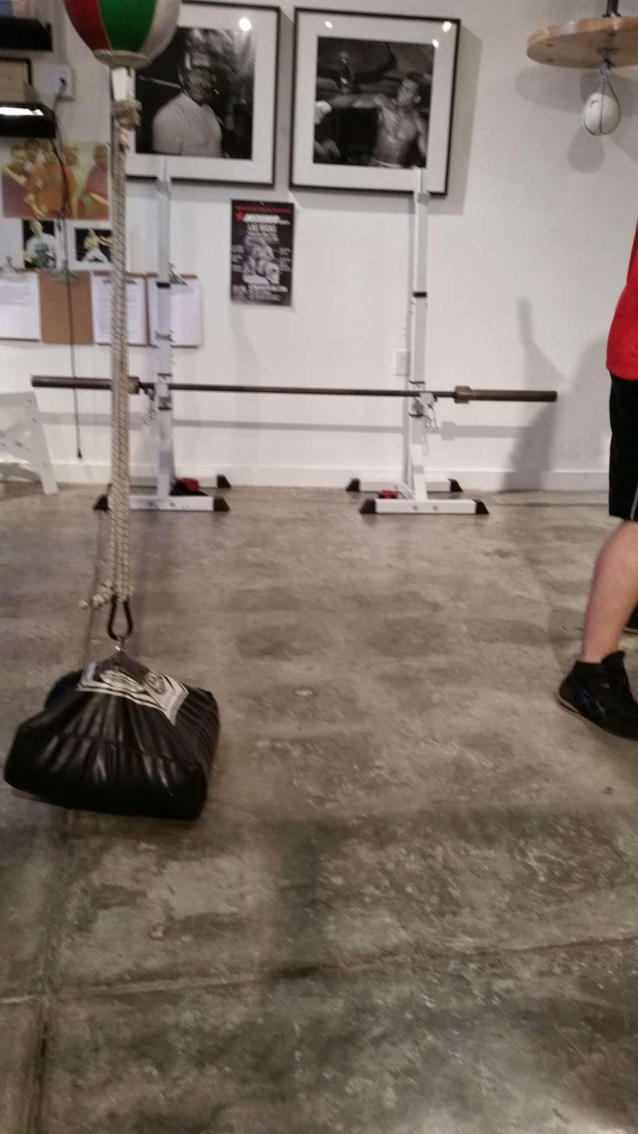Strong Sports Gym | 1318 N Spring St, Los Angeles, CA 90012, USA | Phone: (310) 800-3999
