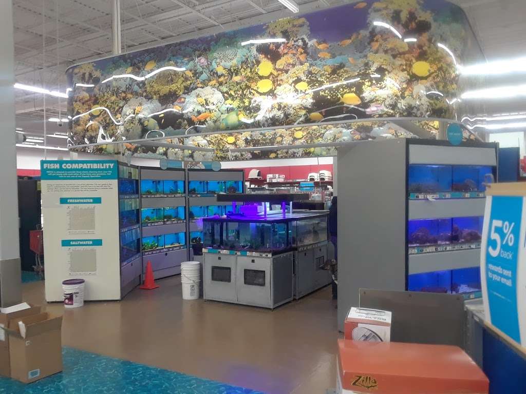 Petco | 205 Ken Pratt Blvd, Longmont, CO 80501, USA | Phone: (720) 652-4642